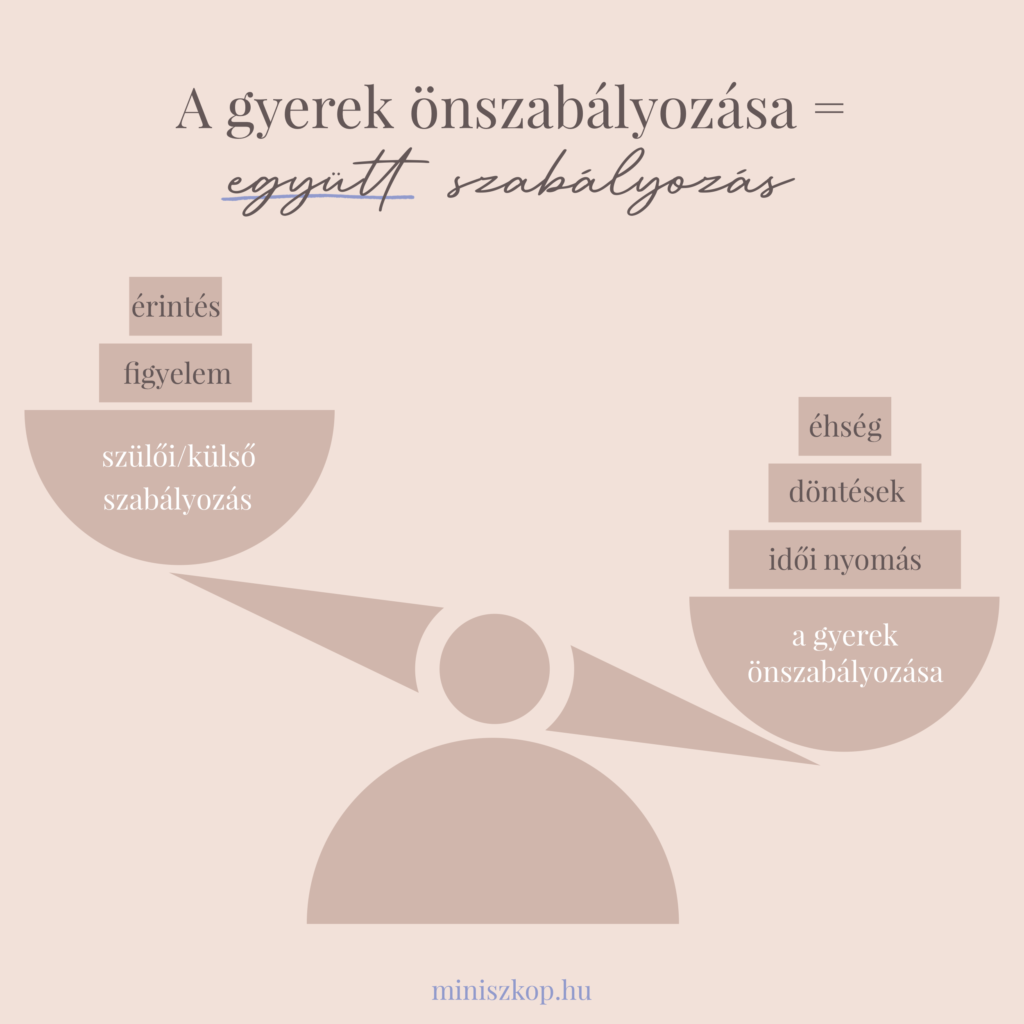 gyerek önszabályozása, dackorszak, nevelési tanácsadás